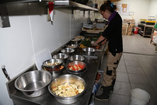 Préparation alimentation – Zoo de la Boissière du Doré