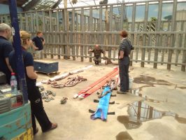 Relevage animaux lourds – Beauval 2016